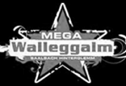 megaalm